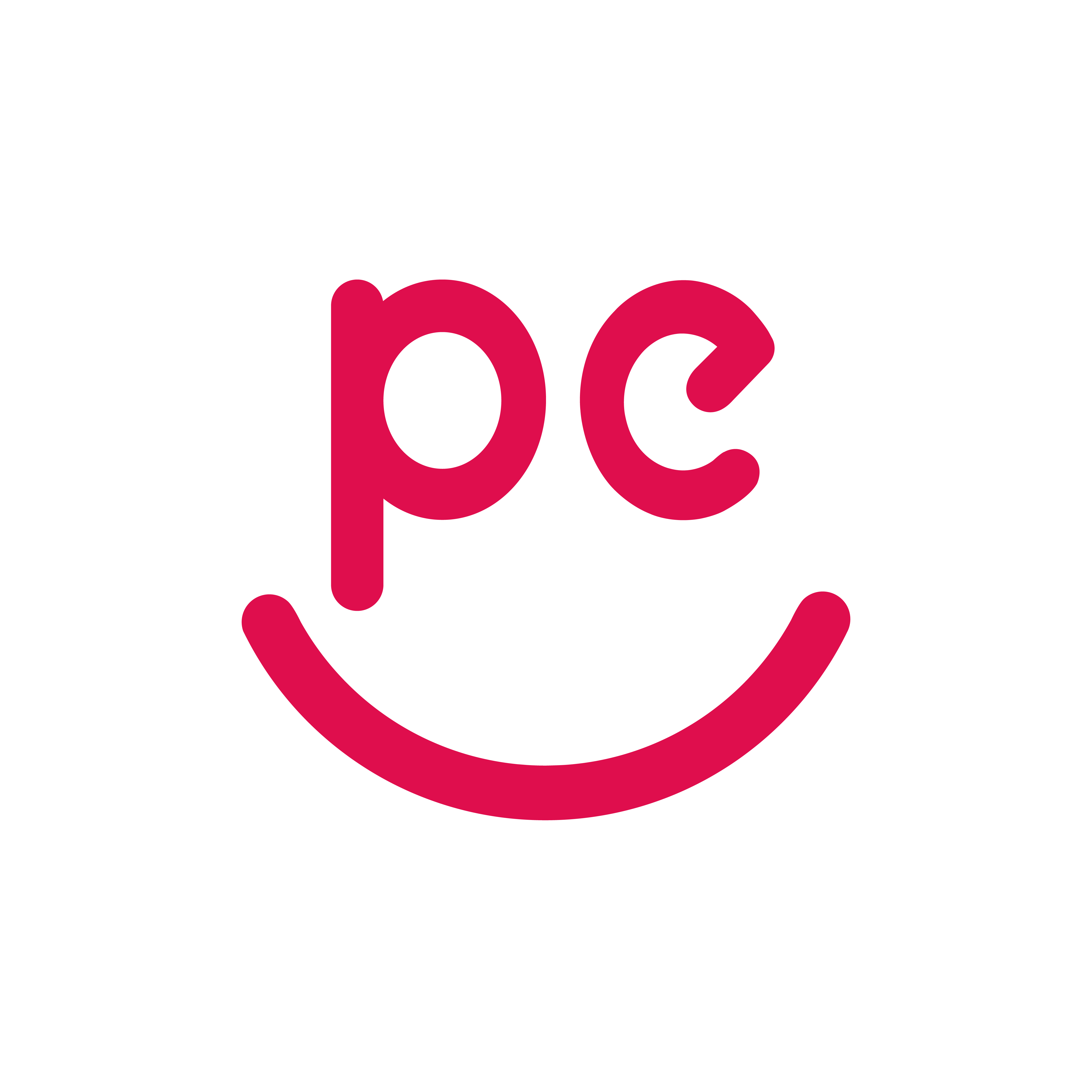 Pedizzo Logo